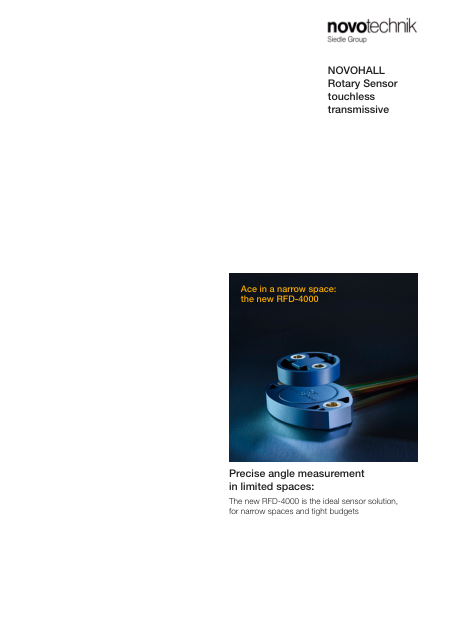 Flyer_RFD_e