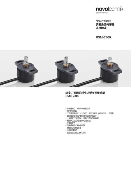 Flyer_RSM-2800_zh