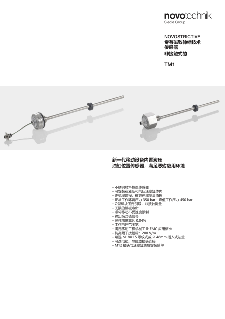 Flyer_TM1_zh